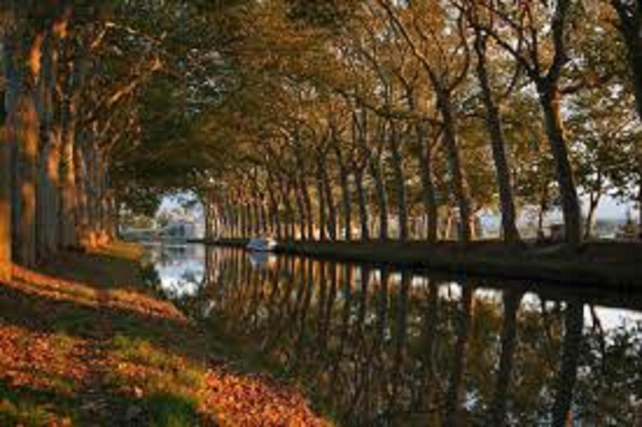 Au Pied De La Cite Apartment การ์กาซอน ภายนอก รูปภาพ